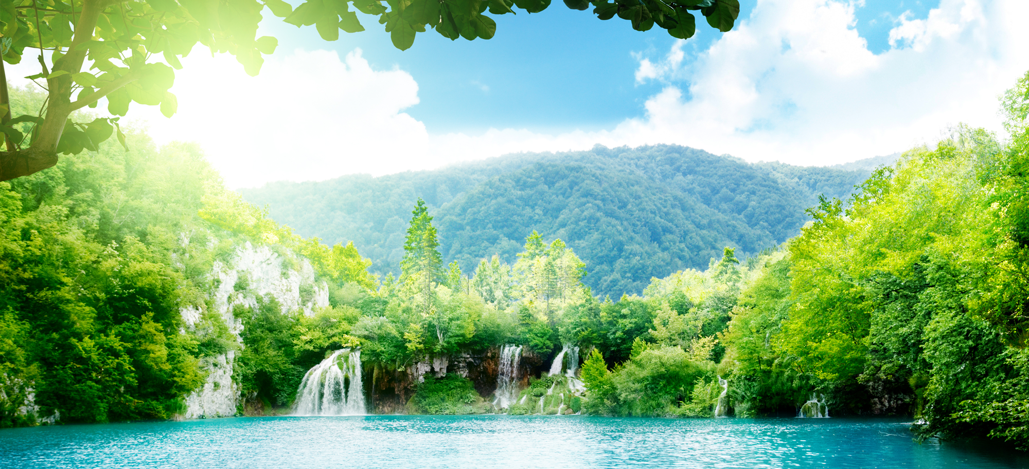 mct-header